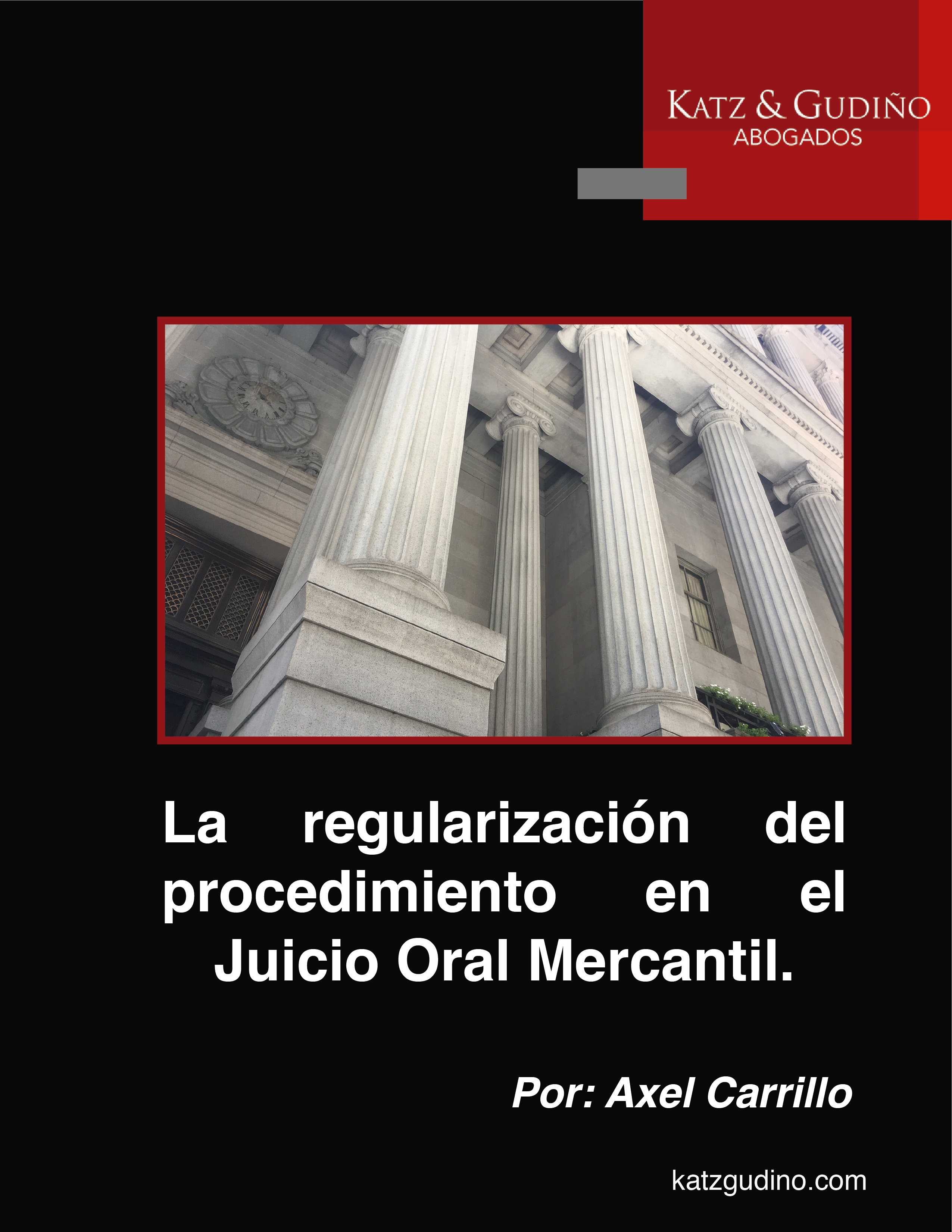 La regularización del procedimiento en el Juicio Oral Mercantil.