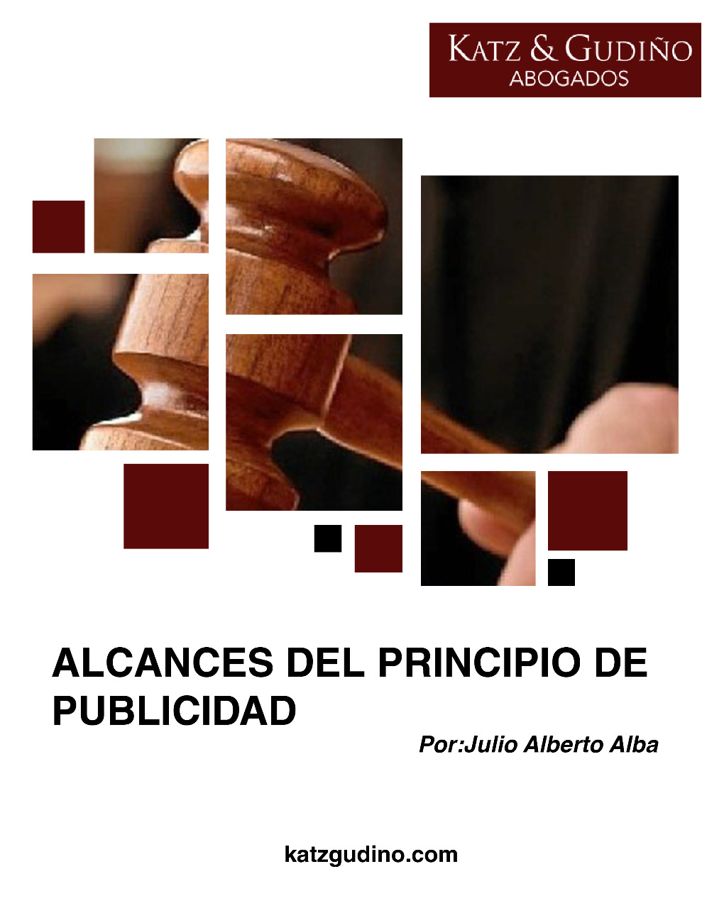 “ALCANCES DEL PRINCIPIO DE PUBLICIDAD”