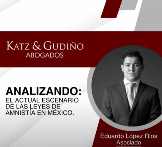 ¿Cuál es el panorama actual de las Leyes de Amnistía en México? Nuestro asociado Eduardo López Rios, te comparte una reflexión sobre esta interrogante.