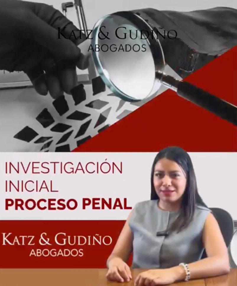 INVESTIGACIÓN INICIAL, PROCESO PENAL, Daniela González