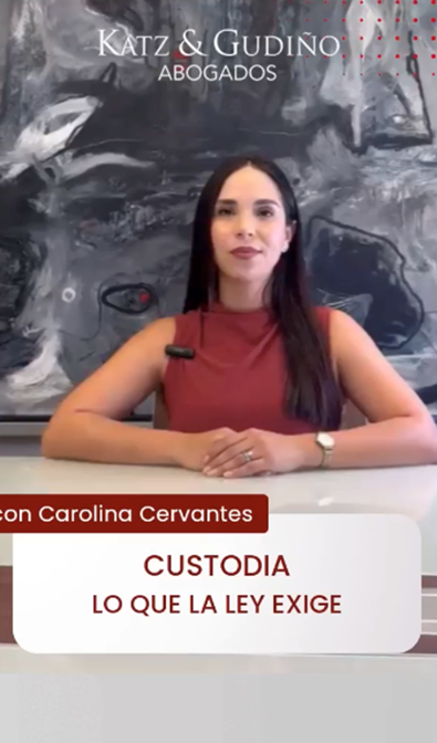 CUSTODIA, LO QUE LA LEY EXIGE